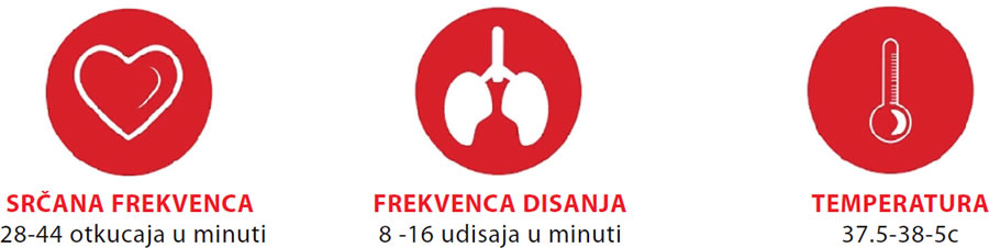 Pregled konja - frekvenca disanja - srcana frekvenca - temperatura
