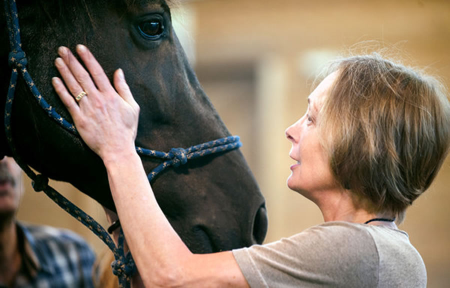 Učenje potpomognuto konjima ili integrativno učenje sa konjima