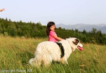 Luna Jusufovic