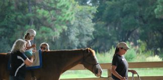 Terapija i aktivnosti sa konjima
