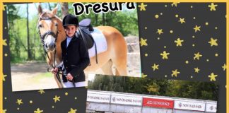 Dresura