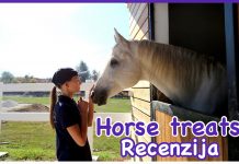 Horse treats - Recenzija