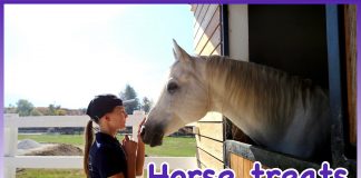 Horse treats - Recenzija