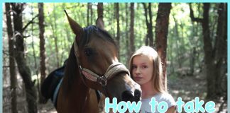 How to take good pictures