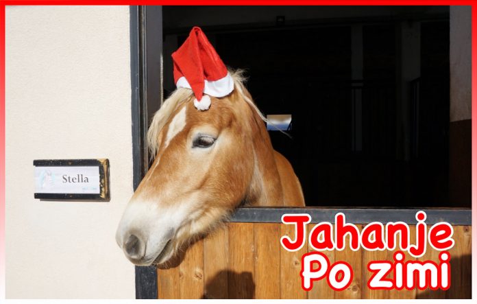 Jahanje po zimi Jahanje po zimi