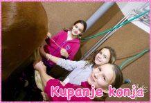Kupanje konja