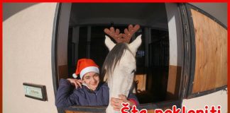 Sta pokloniti Equestrian BFF