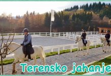 Terensko jahanje