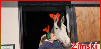 Zimski feed