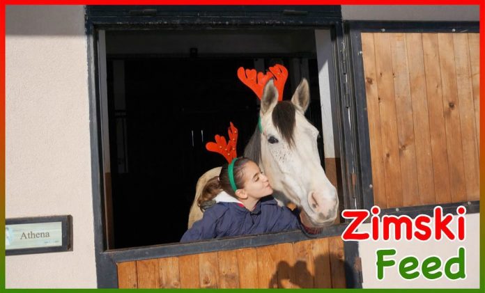 Zimski feed Zimski feed